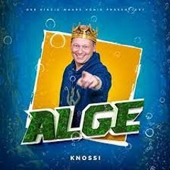 Knossi - Alge (MTK DJ Tool)