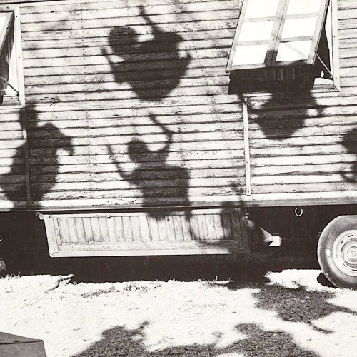 𝚂𝚞𝚌𝚞𝚕𝚎𝚗𝚝𝚊