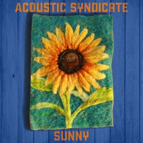 Acoustic Syndicate - "Sunny"