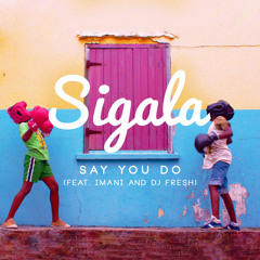 Say You Do (Tom Zanetti & K.O Kane Remix) [feat. Imani Williams & DJ Fresh]