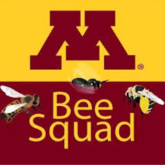 Save the Bees - What You Can do 7-31-2025