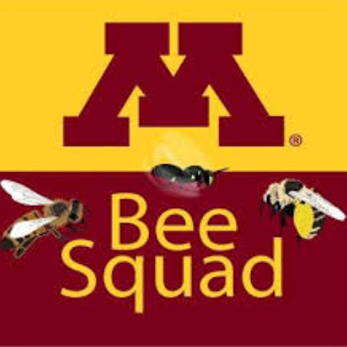 Save the Bees - What You Can do 7-31-2025