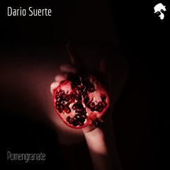 Dario Suerte - Pomengranate II (Original Mix)