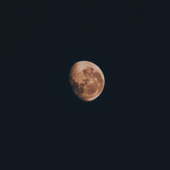 Fragments Of Moonlight