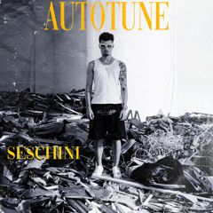 Seschini - Autotune