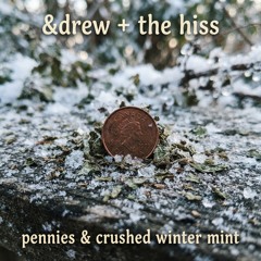 Pennies & Crushed Winter Mint