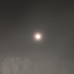 10. Project_169 (CYA)