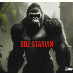 STARVIN