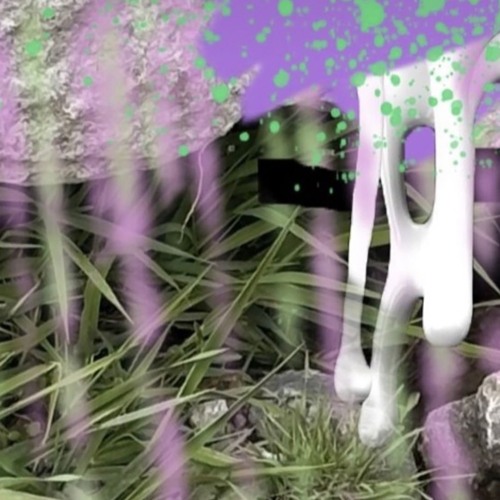 Mudslides (Crusty Mammals remix)