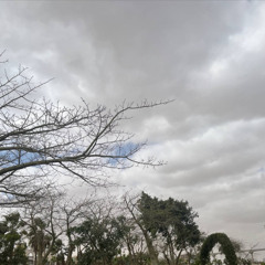 إن أصحاب الجنة اليوم في شغل فاكهون | سورة يس