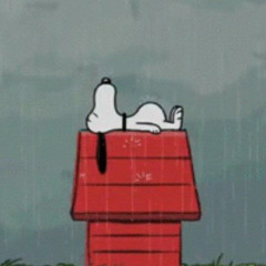 비가 오는 날엔 난 항상 널 그리워해