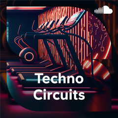 Techno Circuits Workout