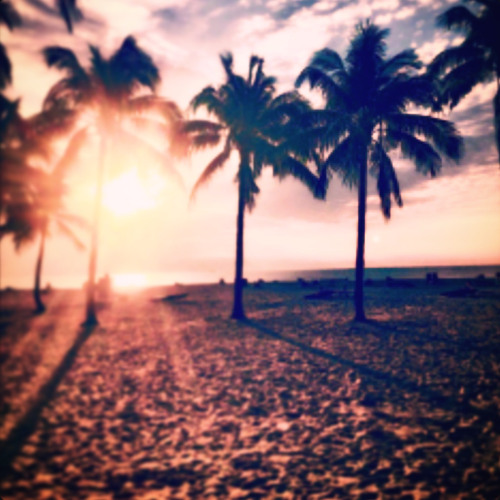 Gorgeous ++ lastchannce (p. Okmax)