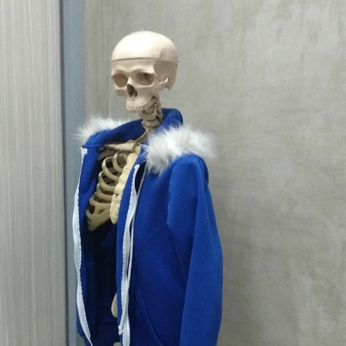 sans in real life.