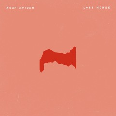 Asaf Avidan - Lost Horse (Sound Of Mint Remix)