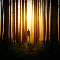 Memo To Self The Beauty Of Presence & Breaking Out Of The Jail Of Judgements Views And Beliefs