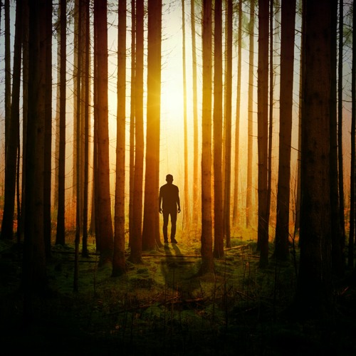 Memo To Self The Beauty Of Presence & Breaking Out Of The Jail Of Judgements Views And Beliefs