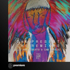 Premiere: Juliet Fox - The Present (Cam Harris Remix) - TREGAMBE