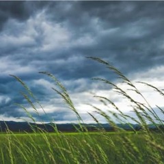 나 자신이 되는 것에 대한 도전