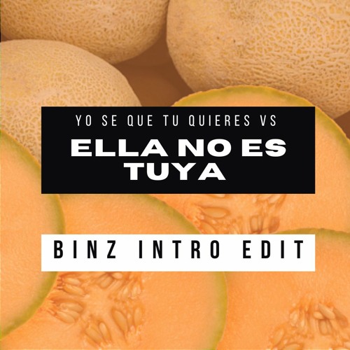 Ella No Es Tuya X Yo Se Que Tu Quieres  - BINZ INTRO EDIT