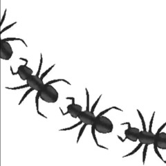 a procession of ants-naviarhaiku622