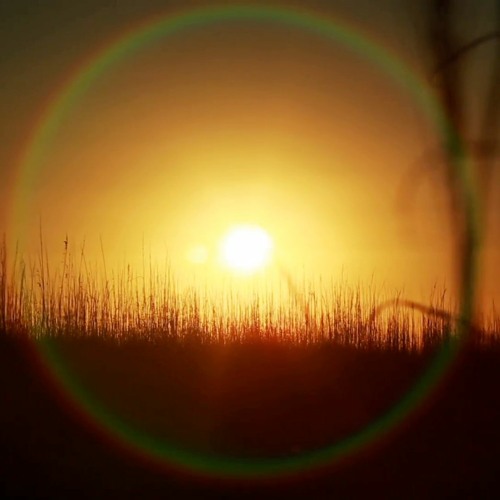 Mood Exhibit - Shines On Us