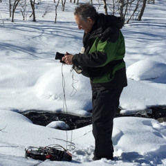 Sounds of the Southern Hemisphere