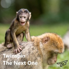 TWINSPIN - The Next One