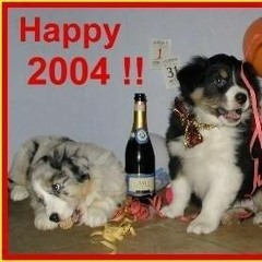 heroinsick - lust (nyli)