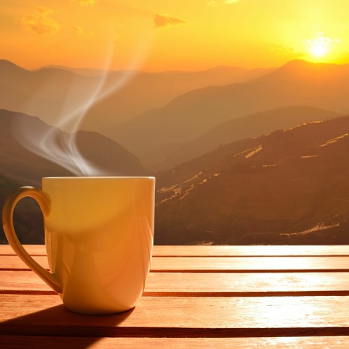 SeeTheMorning