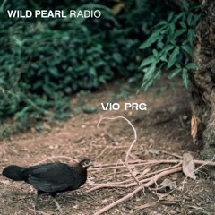 Wild Pearl Radio - Vio PRG (Flight Mode) 19.12.24