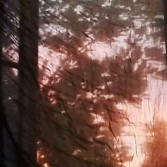 i wanna do (like we used to do)