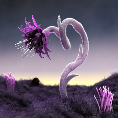 PREMIERE – AIKON – Hypnotic (TAU)
