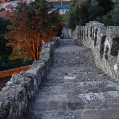 Alpine Alpina (Rough Mix)