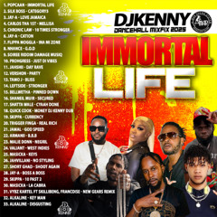 DJ KENNY IMMORTAL LIFE DANCEHALL MIXFIX 2035