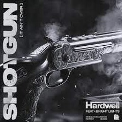 Hardwell, Bright Lights - Shotgun ~It Ain't Over~ (Digi-Boy Festival Intro Edit)