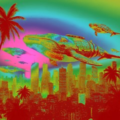 Stay In The Sky