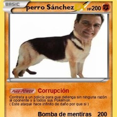 Perro Sanxe