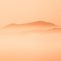 Fog