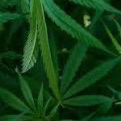 Flair(feat.reql.beaz)