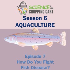 Season 6: Aquaculture | Episode 7: How Do You Fight Fish Disease?