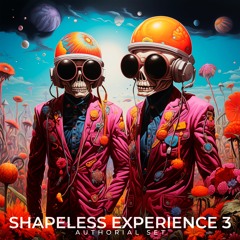 Shapeless Experience #3