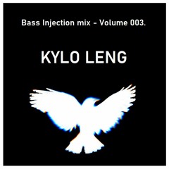 Bass Injection Mix Volume 003 - KYLO LENG