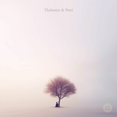 Thalamin & Pewi - Into the deep