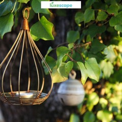 How to Find the Best Garden Design Inspiration for Your Home
