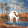 Playroots - Tribala (Cafe De Anatolia)