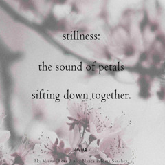 the sound of petals [naviarhaiku571]