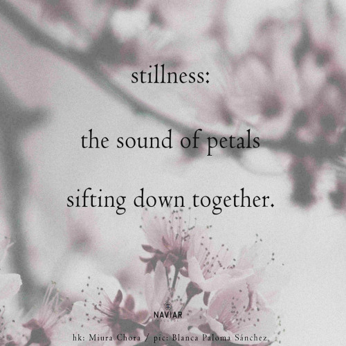 the sound of petals [naviarhaiku571]