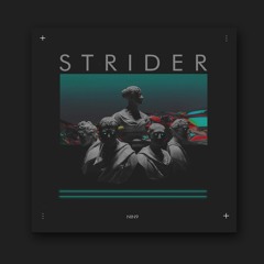 NIN9 - Strider