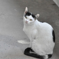 scrubb - กลัว between (18th edited) (cover)